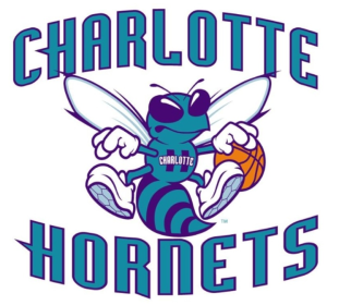 charlotte-hornets3